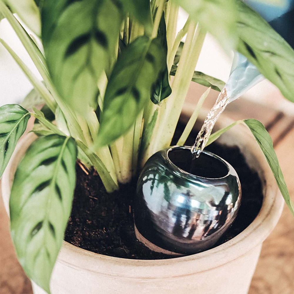 mudamlux's tweet image. At #MudamStore and mudamstore.com. #Pepin is a young #ecoresponsible family brand from Lille. Their #Ollas are microporous #ceramic pots that optimise the #watering of #plants by diffusing it progressively and autonomously.