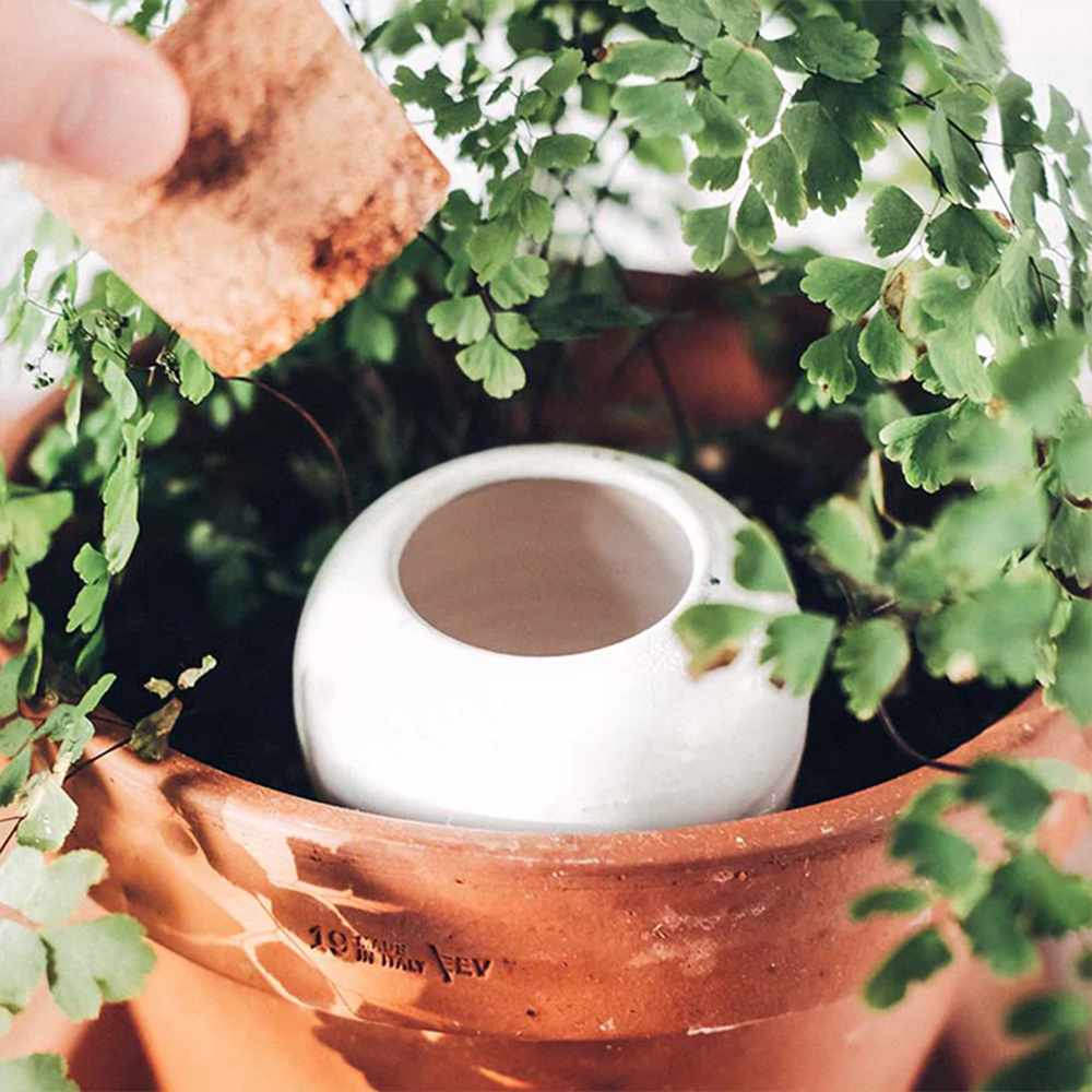mudamlux's tweet image. At #MudamStore and mudamstore.com. #Pepin is a young #ecoresponsible family brand from Lille. Their #Ollas are microporous #ceramic pots that optimise the #watering of #plants by diffusing it progressively and autonomously.