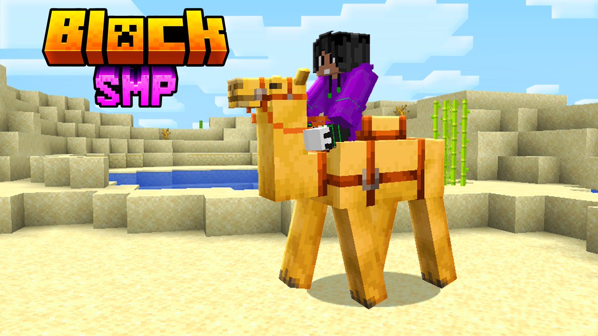 Block Team 👑 tweet media