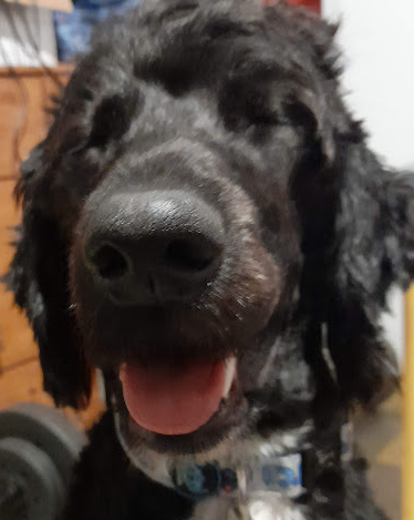 forgottenpixls's tweet photo. @youtooz When someone tells you that you did a good job. https://t.co/cY855y8usI