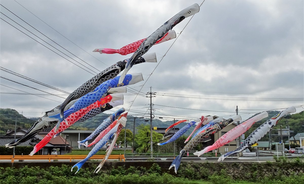 venayamaguchi's tweet photo. En las zonas rurales de Japón los koinobori son una estampa habitual estos días. Suspendidos de un mástil para que ondeen en el viento, simbolizan el deseo de que los hijos vuelen alto y tengan la perseverancia necesaria para salir airosos en los desafíos que le plantee la vida. https://t.co/QETGRtAh3q