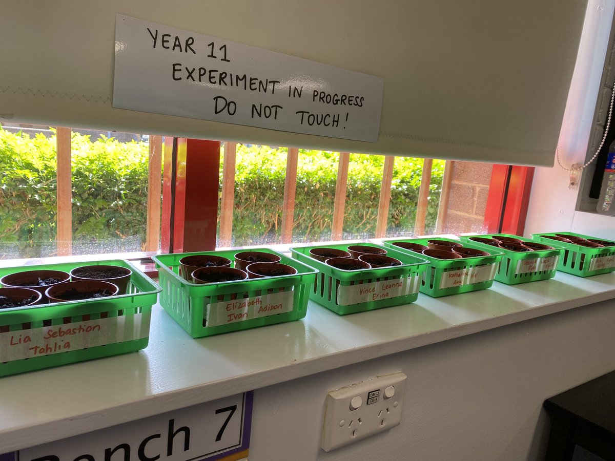 reneecarniato's tweet photo. Experiment underway - how does salinity affect plant growth? The important of land care practices on the Australian Environment 🌱
Y11 #investigatingscience @DoE_science @SJPHS https://t.co/uZIxfUW2lR