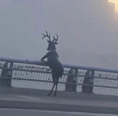 NBAMemes's tweet photo. Bucks fans after being eliminated by the Heat https://t.co/nbshJYe2fj