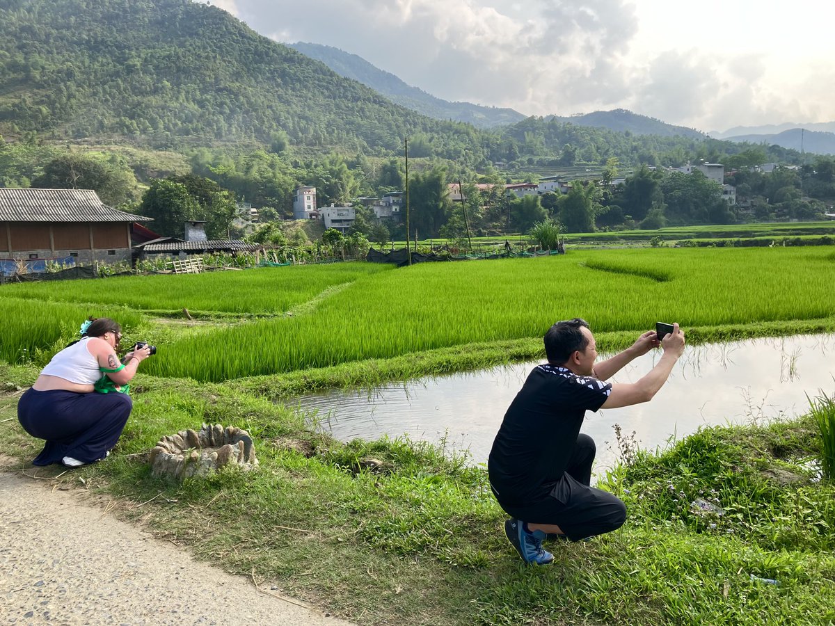 crypticglasgow's tweet photo. Great hikes through the rice fields today &amp; with the sun out the green is so vibrant! How to keep an ☘️ lady happy 😉 Back to Hanoi tomorrow = 7 hours by car. @vnc_ptk  @vnbritish @britisharts
#monsoonmusicfestival
#UKVNSeason #OurFutureTogether #CultureConnectsUs #cathieboyd https://t.co/sZyU5iPioy