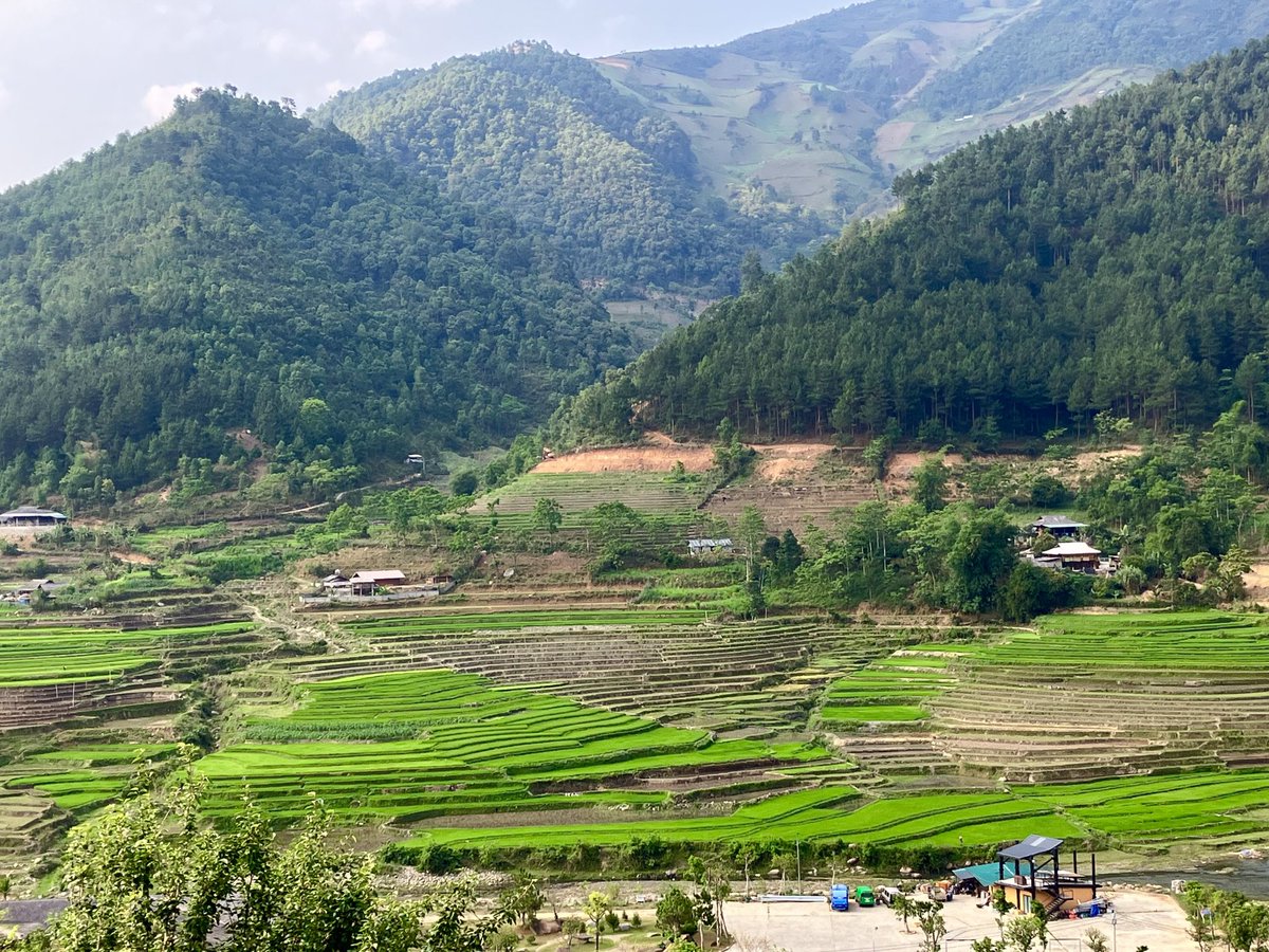 crypticglasgow's tweet photo. Great hikes through the rice fields today &amp; with the sun out the green is so vibrant! How to keep an ☘️ lady happy 😉 Back to Hanoi tomorrow = 7 hours by car. @vnc_ptk  @vnbritish @britisharts
#monsoonmusicfestival
#UKVNSeason #OurFutureTogether #CultureConnectsUs #cathieboyd https://t.co/sZyU5iPioy