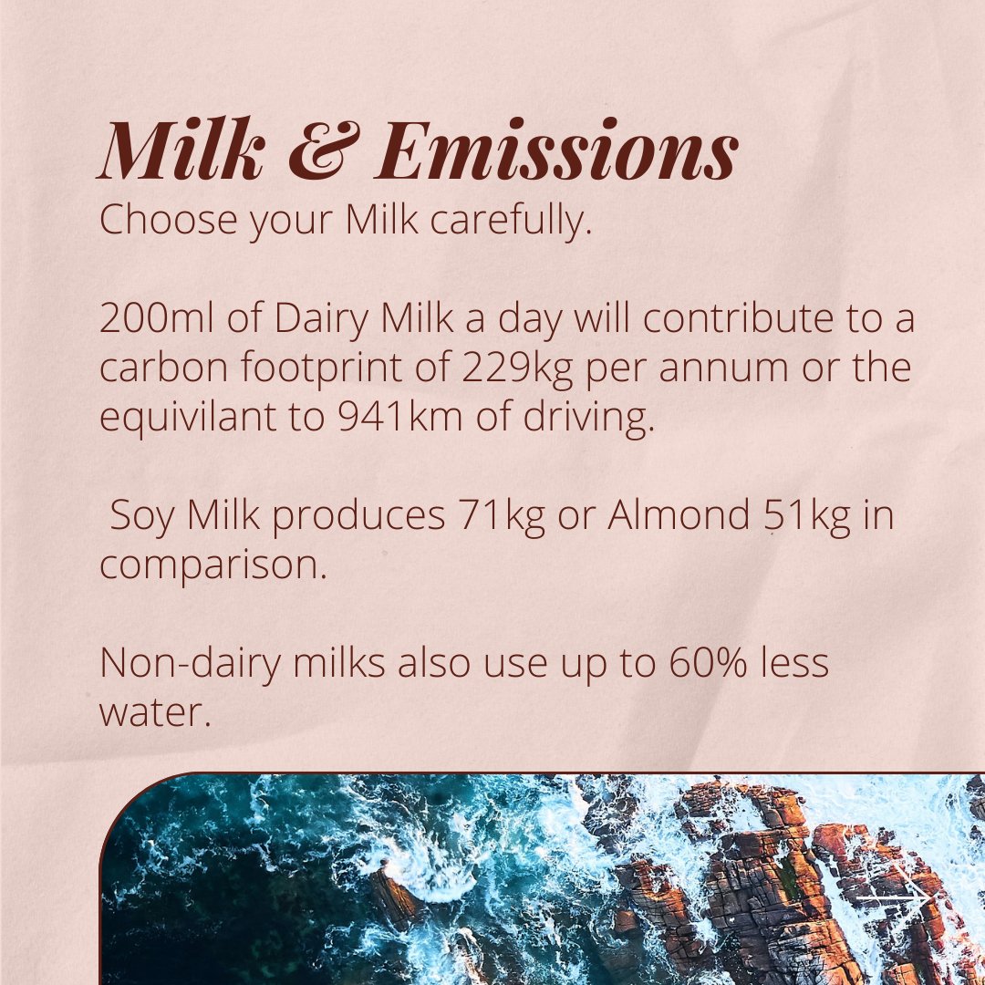 Narcissips's tweet image. How to be Sustainable as F#ck in 2023, part 5 with Narcissips Ireland - small changes, that can make a big impact!

Head over to our Blog section to see how easy, realistic tips can make a difference.

#smallchange #reuse #irishbrand #irishbusiness  #plasticfree