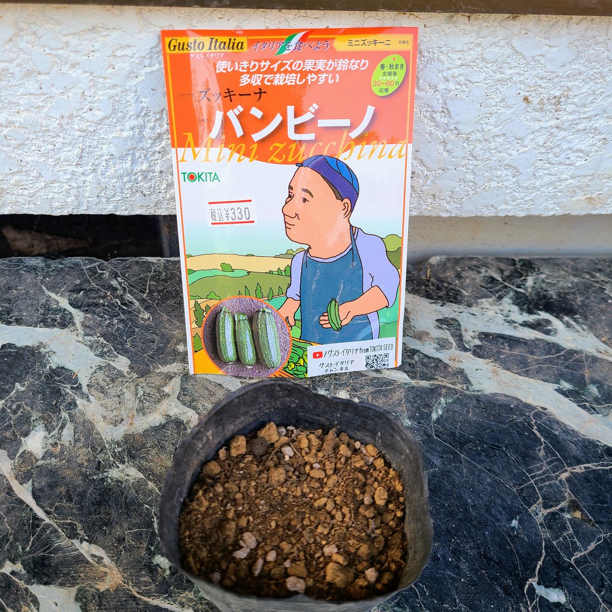 SaeCue's tweet photo. 予備にもう1個まいといた🌱
1つ目が徒長気味だったからね😜
全部で4つやっとけば大丈夫でしょう…
#バンビーノ #ミニズッキーニ #ズッキーニ #トキタ種苗 #グストイタリア #minizucchini #zucchini #TOKITA #GustoItalia https://t.co/5HOmtVKCOK