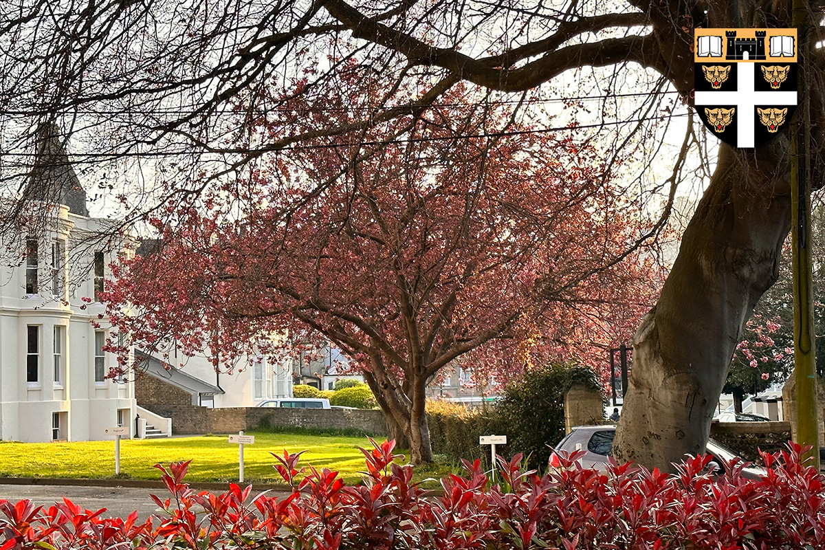 DoverCollege's tweet photo. The blossom on the tree adjacent to Effingham Crescent is always a lovely reminder that we are midway through Spring. If you get a chance, take a look at it in the next few days: it is stunning. https://t.co/hKimX33r42