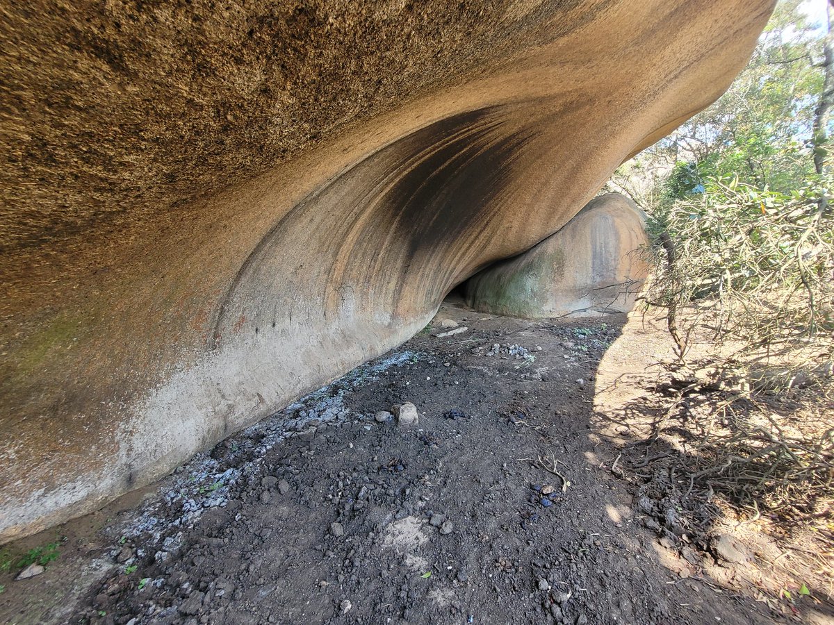 gregorDbader's tweet photo. Closing the field season in #eswatini with the usual visit at #Sibebe. Recently had the pleasure to work on the MSA & LSA assemblages from the site excavated in 1981. #rockart very faded but typical for eswatini. #sara_swazi. @geobiodiversity @dai_weltweit https://t.co/Y5jyai18pD