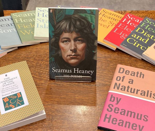 Happy #PoetryDayIRL!  Why not reply to this tweet and tell us what your favourite Heaney poem is?