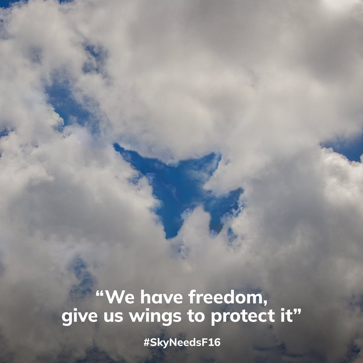 ptuxerman's tweet image. Ukraine needs modern Western jets to protect citizens and return back occupied territories. Help 🇺🇦, send F-16!
#skyneedsF16 
skyneedsf16.com