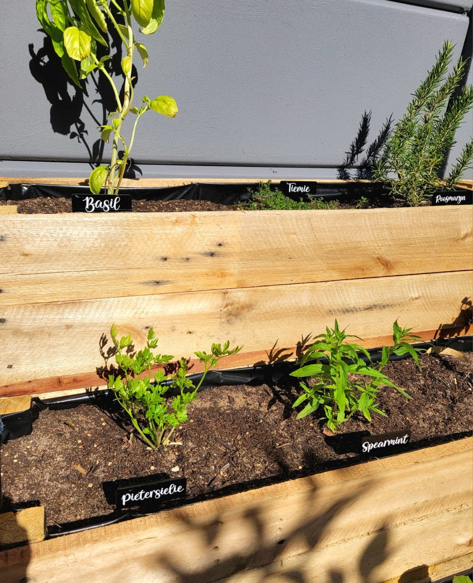 NEW PRODUCT ALERT!!
Edible garden name stakes
Set of 6 -R100
Set of 10- R190
You choose the names for the Stakes