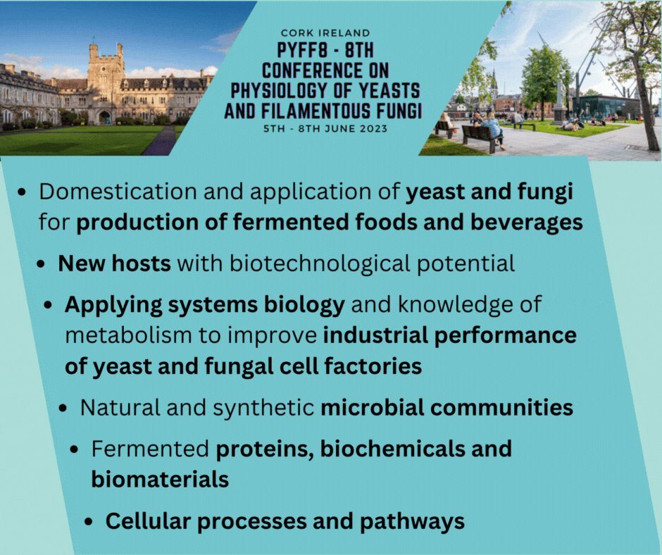 EFBiotechnology's tweet photo. 🍄Any plans for June?
What about a trip to Ireland for the 8th Conference on Physiology of Yeasts and Filamentous Fungi (PYFF8)?
Registration is still open!
👉https://t.co/F29eJH33Aw
#PYFF #PYFF8 #fungi #yeast #microbiology #biotechnology #fermentation #fermentedfood https://t.co/yrwAOjFouN