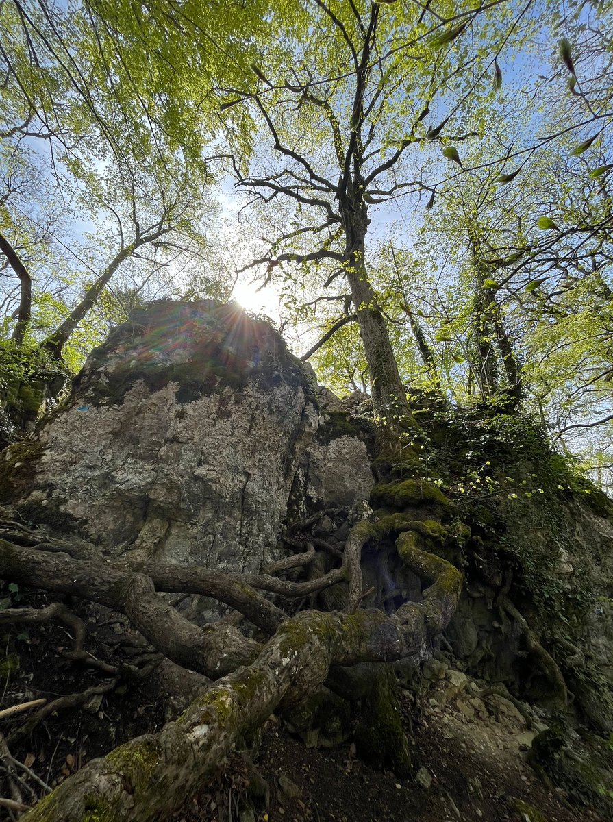 LibrariumViews's tweet image. Some #perspectives from my #BlueSkyThinking session today...Nature's way is to find a way...
#LessonsFromNature