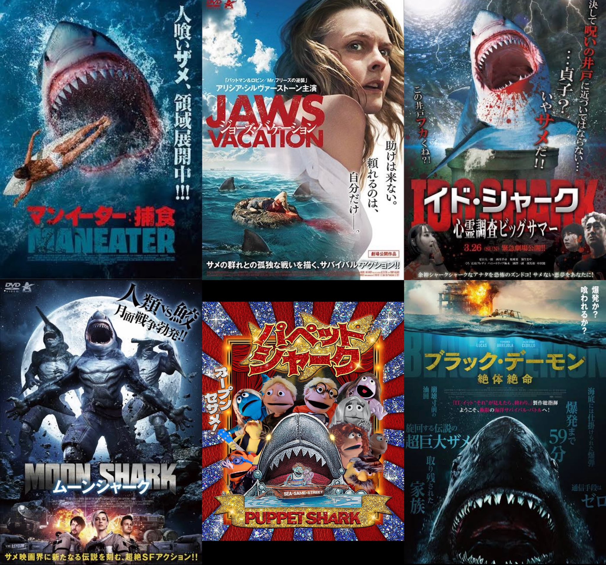ザ・キャット('01デンマーク)など映画13本まとめ売り 廃盤】『The Cat ザ・キャット』 DVD - メルカリ