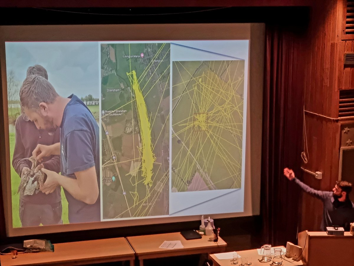 WWTconservation's tweet photo. Research Officer @Dan_Gornall presents the use of GPS tracking devices to help locate &amp; monitor Curlew nests #WWTResearch 1/2 https://t.co/aJhkia8t2x