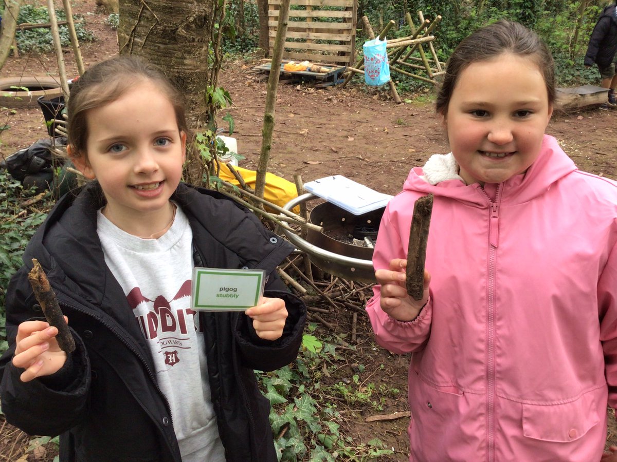 Gaer Primary School on Twitter "GPSClass12 have been using their