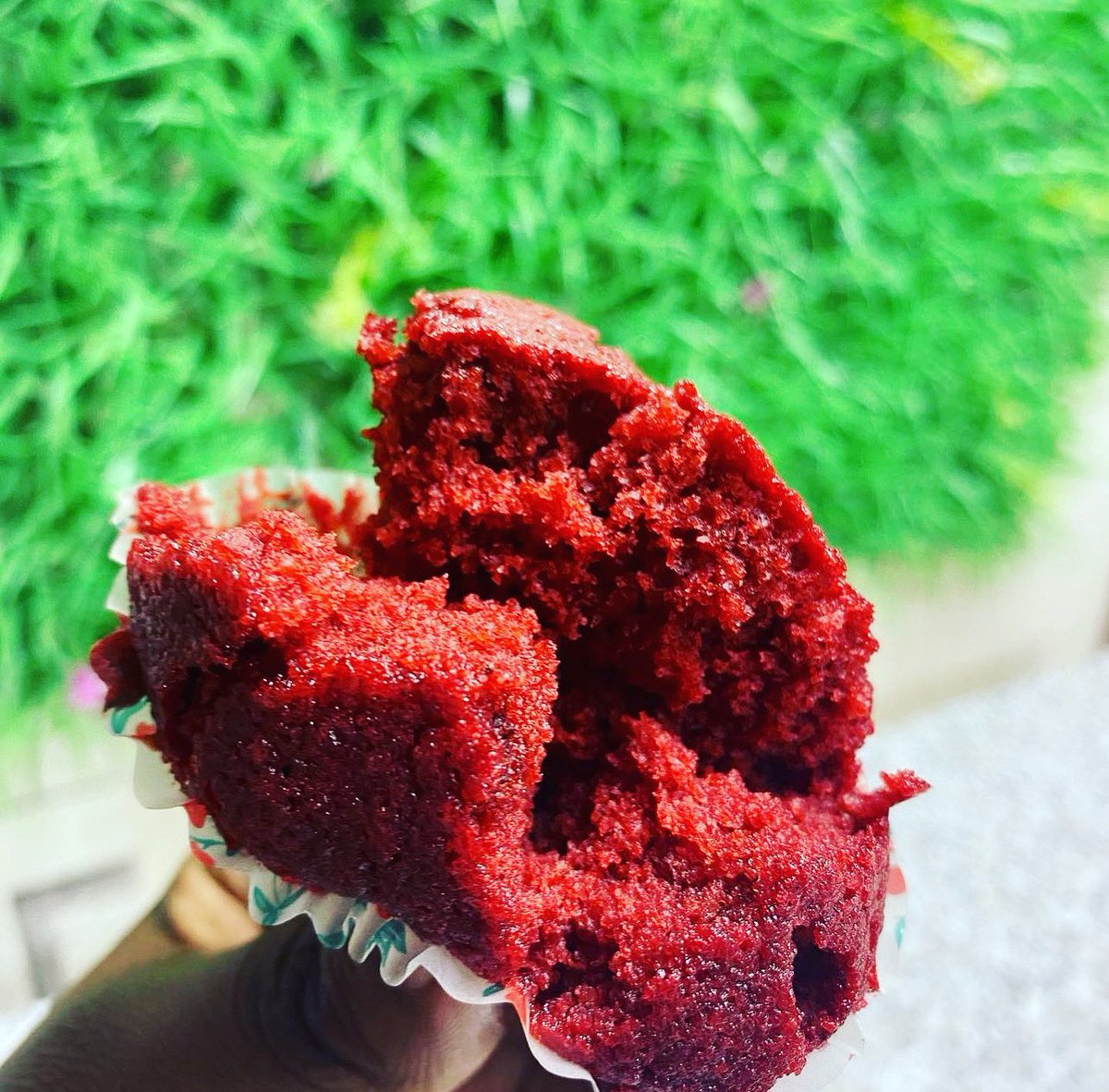 chopsbite's tweet photo. My red velvet lovers gather here
Just call or WhatsApp us on 0503804777

#redvelvet #cakelover #everythingcakeandcookies #moistcakes #fluffycake #cakescakescakes https://t.co/dccb4pUDP8