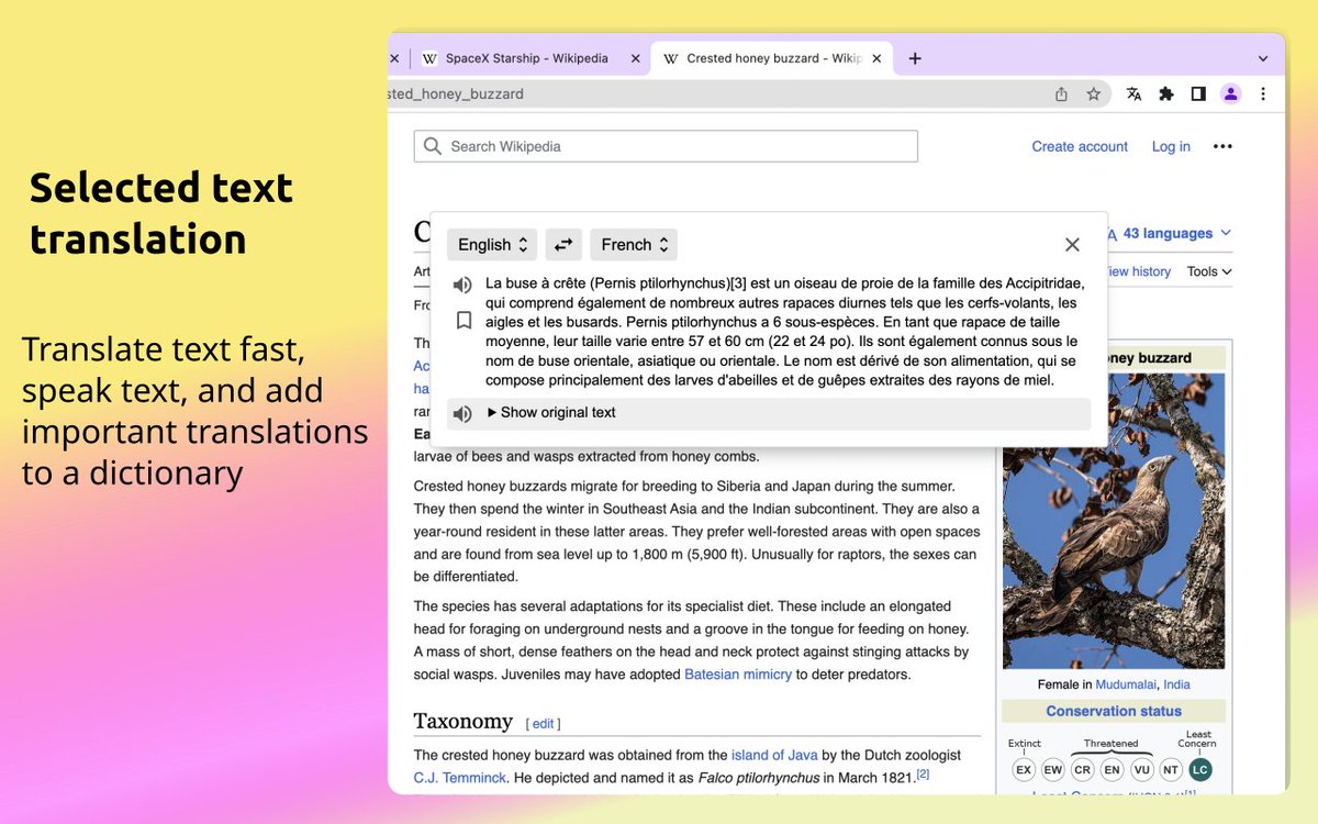 Robert Vitonsky tweet media