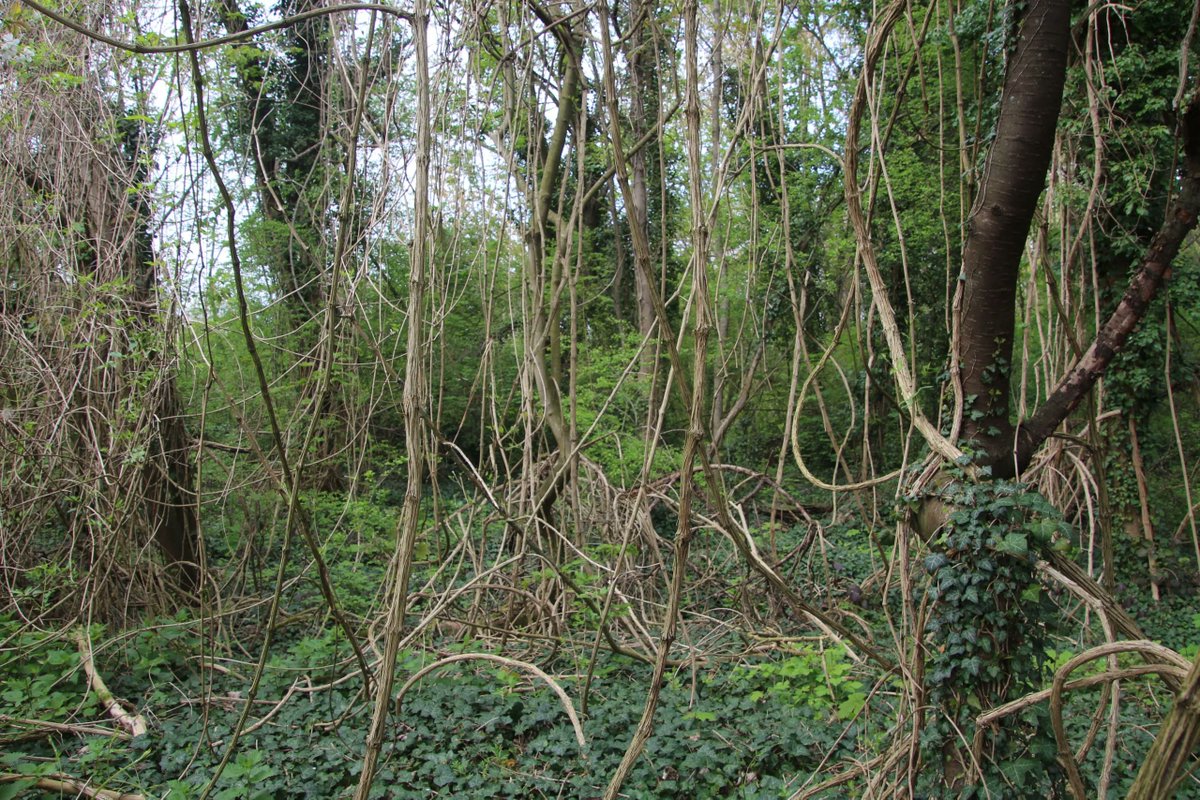 CNCParisIDF tweet media