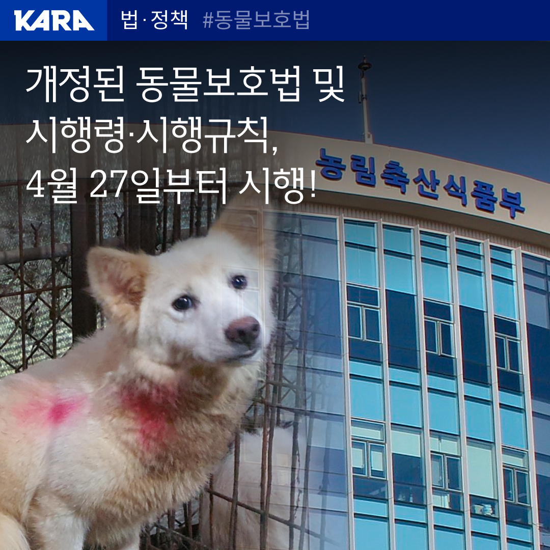 동물권행동 카라 tweet media