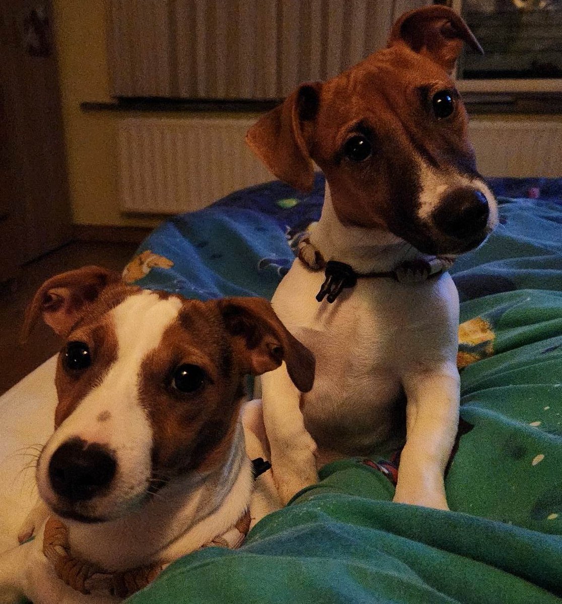 DRINGEND!!!
Hey, ik ben Trisy en ik zoek dríngend een plekje in een co-housing om te wonen. Mijn situatie thuis loopt volledig uit de hand en is onleefbaar. Mijn interesses zijn fitness, tattoos, kunst en literatuur. Ik ben queer minded, kan kuisen/was/alles
Budget: 600€ incl.