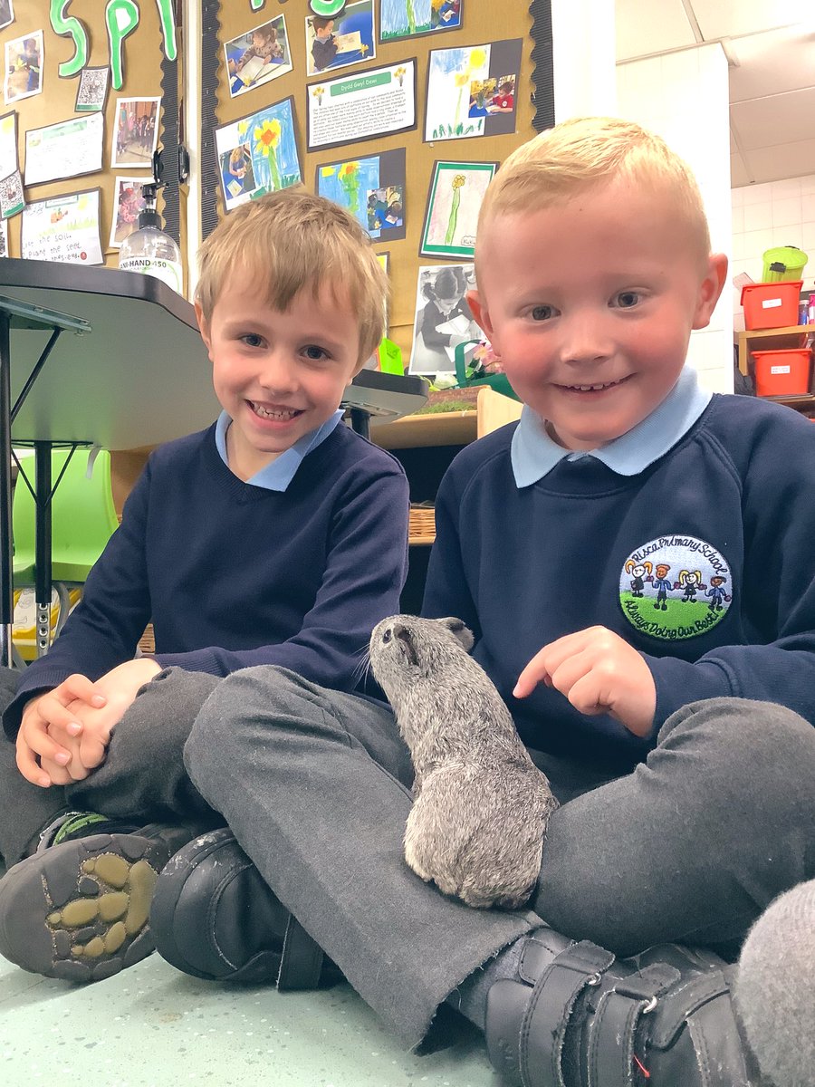 Risca Early Years tweet media