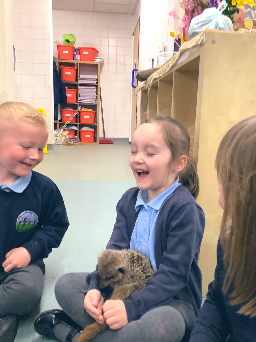 Risca Early Years tweet media