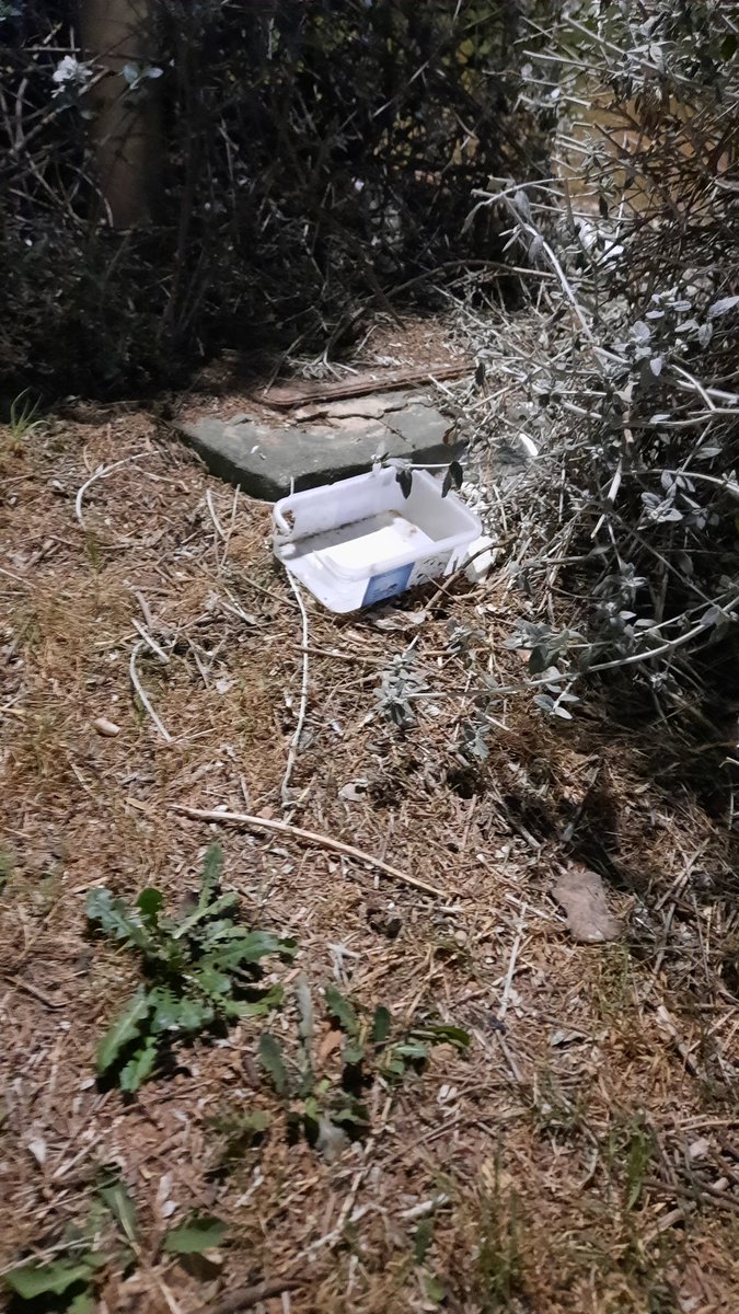 GenovesToni's tweet photo. @AytoMoncada Así están los jardines de la Av. De La Lloma del Colbi... https://t.co/wobYbwFQcY