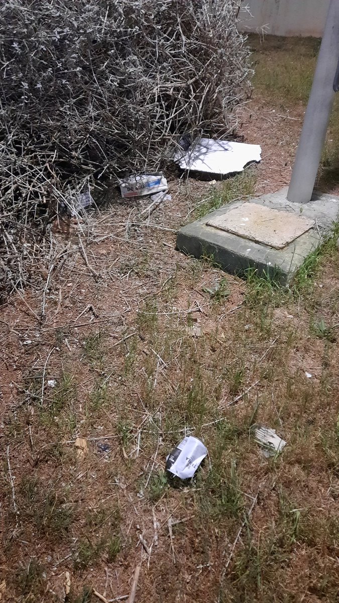 GenovesToni's tweet photo. @AytoMoncada Así están los jardines de la Av. De La Lloma del Colbi... https://t.co/wobYbwFQcY