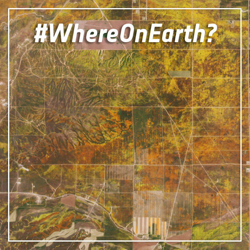 #WhereOnEarth are these blooming fields? 🤔