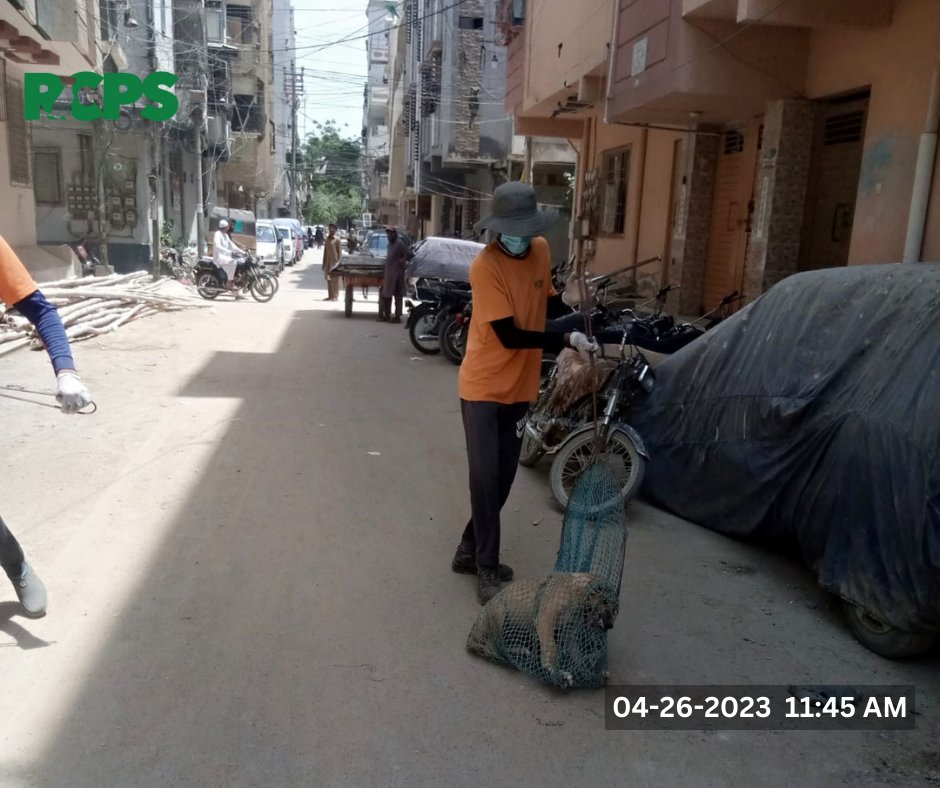 RCPSindh's tweet photo. Day 363 ~ โ
Catch โ
Vaccinate โ
Collar โ
Mark โ
Record
* Action packed work by our skilled dog handlers.
๐Abbasi shaheed Hospital, UC-1, Nazimabad, District Central, Karachi l.
#rabiescontrolprogramsindh #RCPS #ZeroBy30 #UnitedAgainstRabies #WHO #OneHealth #EliminateRabies https://t.co/HF2pEBsItF