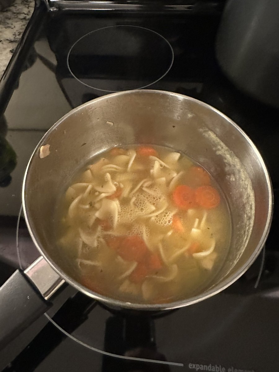 SnowFallen_'s tweet image. Made some chicken soup for my girlfriend, she isn’t feeling too good. Also made her the hot tea, chocolate milk, and French fries. I also cut some apples for her just in case.