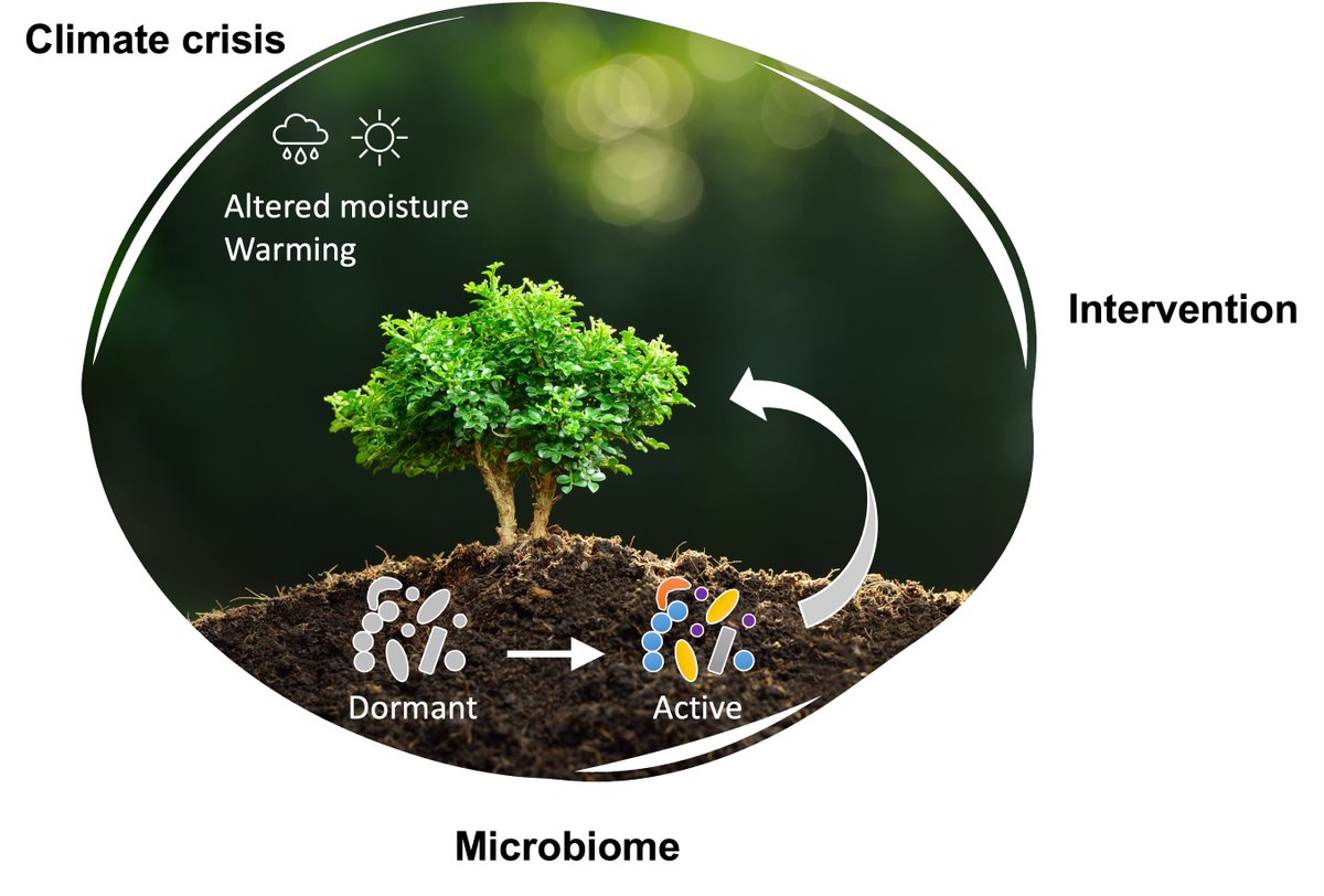 Ashley Shade, Ph.D. (@ashley17061) on Twitter photo We have an open #microbialecology position for a Project Manger/ Researcher on our new <a href="/ERC_Research/">European Research Council (ERC)</a> award: MicroRescue
Join our mission to understand how to rescue #microbiome members & functions for plants and soils facing #ClimateChange
Job ad here:
ashley17061.wixsite.com/shadelab/singl⦠We have an open #microbialecology position for a Project Manger/ Researcher on our new <a href="/ERC_Research/">European Research Council (ERC)</a> award: MicroRescue
Join our mission to understand how to rescue #microbiome members & functions for plants and soils facing #ClimateChange
Job ad here:
ashley17061.wixsite.com/shadelab/singlā¦