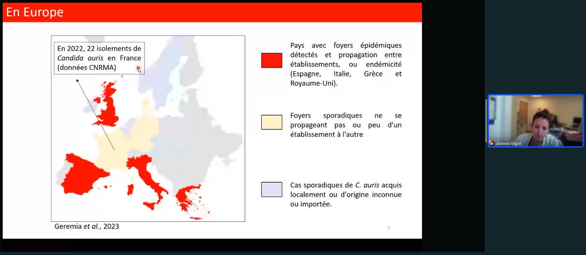🍄LIVE: Dr Jeanne Bigot from @HopSaintAntoine, talking about Candida auris, its main characteristics, diagnostic tools, antifungal resistance and the situation in France. @SFMicrobiologie @sfmm_myco #ThinkFungus #antifungalresistance @sfm_jm