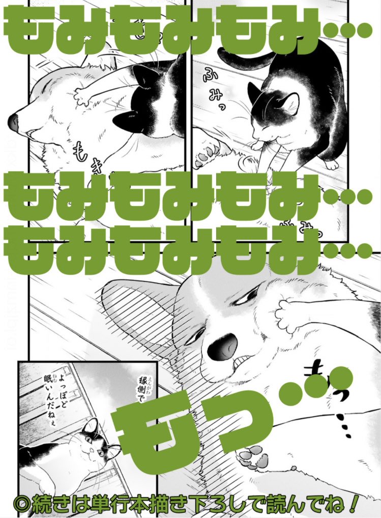 🍵コミックス5/15発売🍵  『殿と犬』2巻の 描き下ろし漫画の一部を チラ見せです🐶✨  https://comic-polaris.jp/ptdata/tonotoinu/0019sp/  🤘コミックス情報はこちらから 