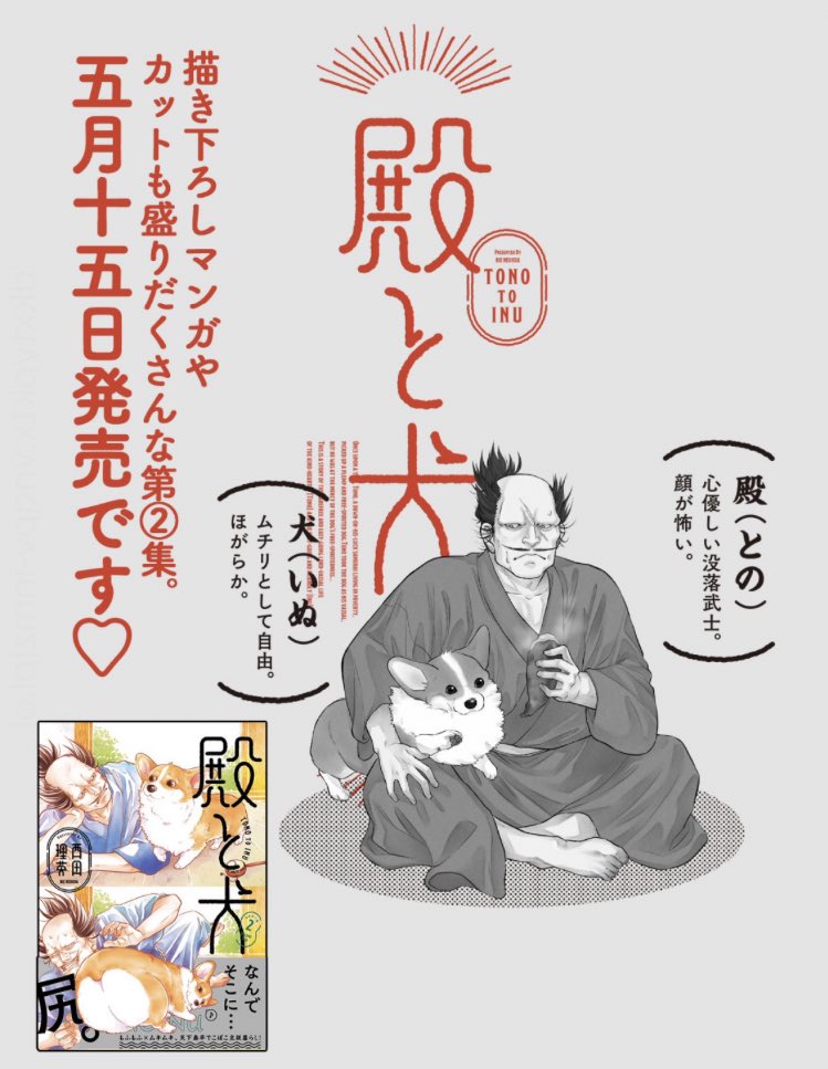 🍵コミックス5/15発売🍵  『殿と犬』2巻の 描き下ろし漫画の一部を チラ見せです🐶✨  https://comic-polaris.jp/ptdata/tonotoinu/0019sp/  🤘コミックス情報はこちらから 