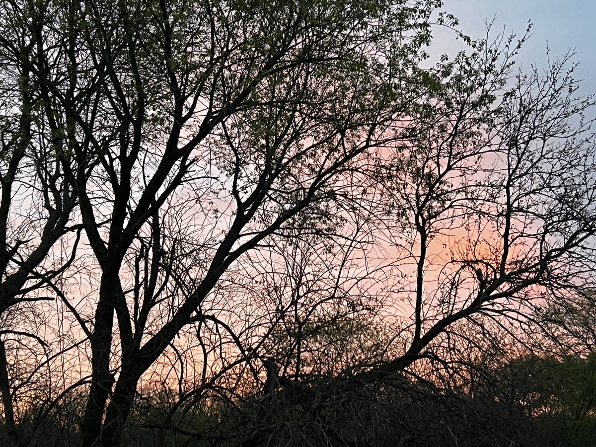 Michele Markey tweet media