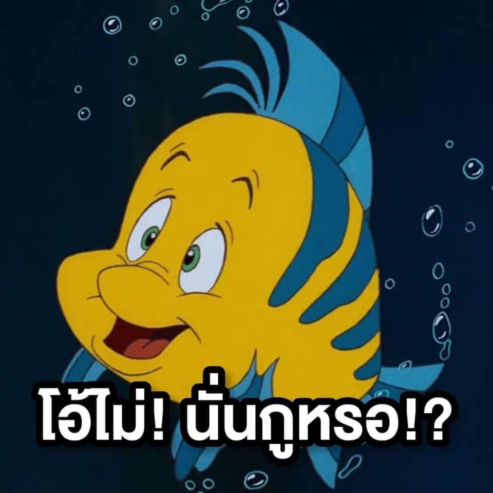 สงสารน้อง 5555555