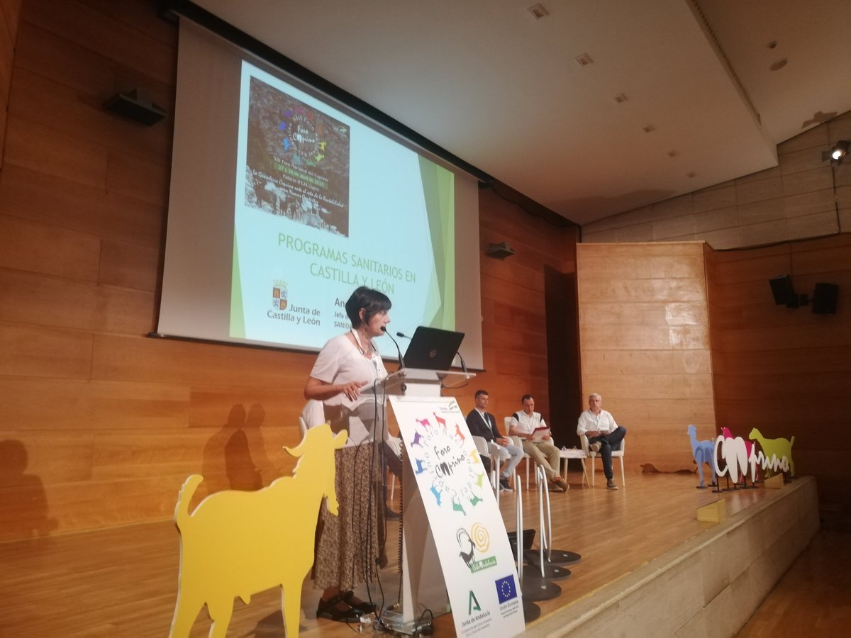 FERIASJAEN's tweet photo. Ya ha comenzado la Tertulia - Debate del XIII Foro Nacional del Caprino en la que participan:
✅ Dña. Ana Grau
✅ D. José Javier Rodríguez Fernández
✅ D. Pedro Martínez
✅ D. Raúl Martínez Fernández
✅ D. Antón Esnal
✅ Modera: D. Christian de la Fe

#ForoCaprino #cabra #jaen https://t.co/f9JYhtbHC9