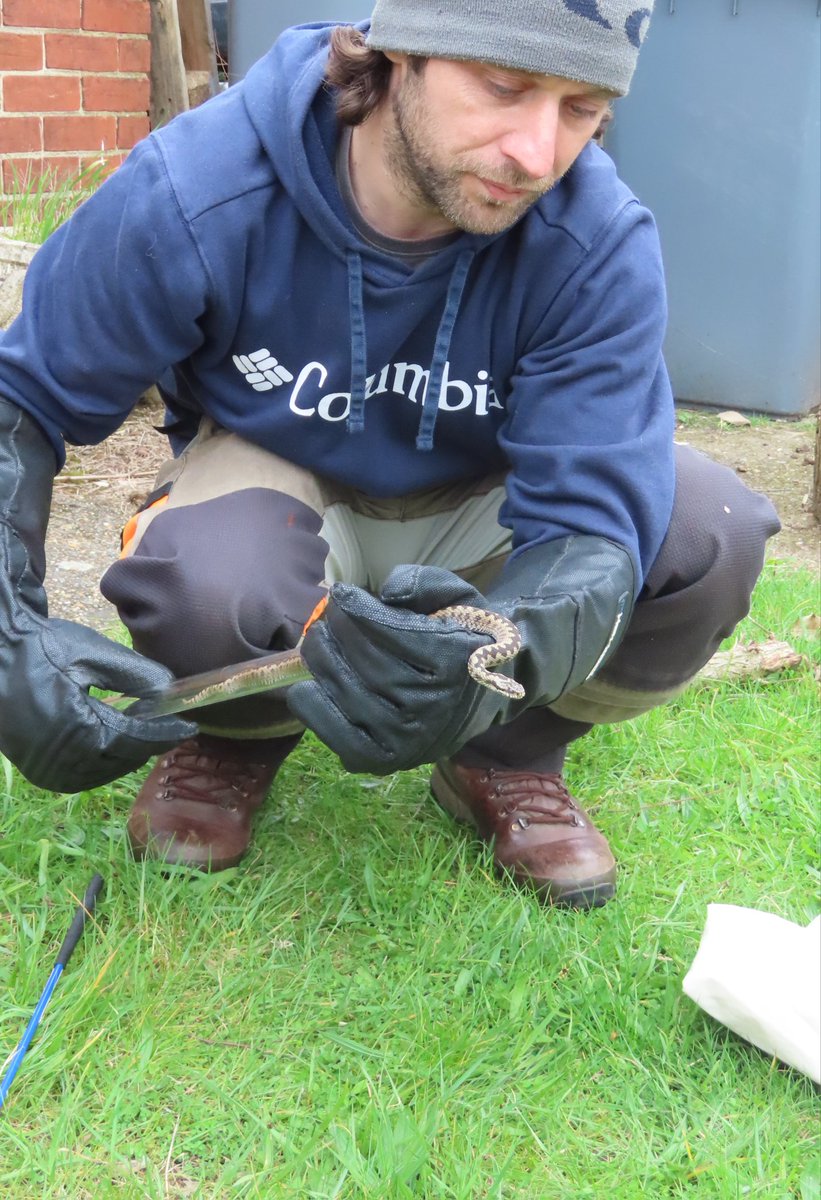 BorealTrees tweet media