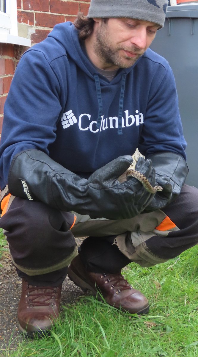 BorealTrees tweet media