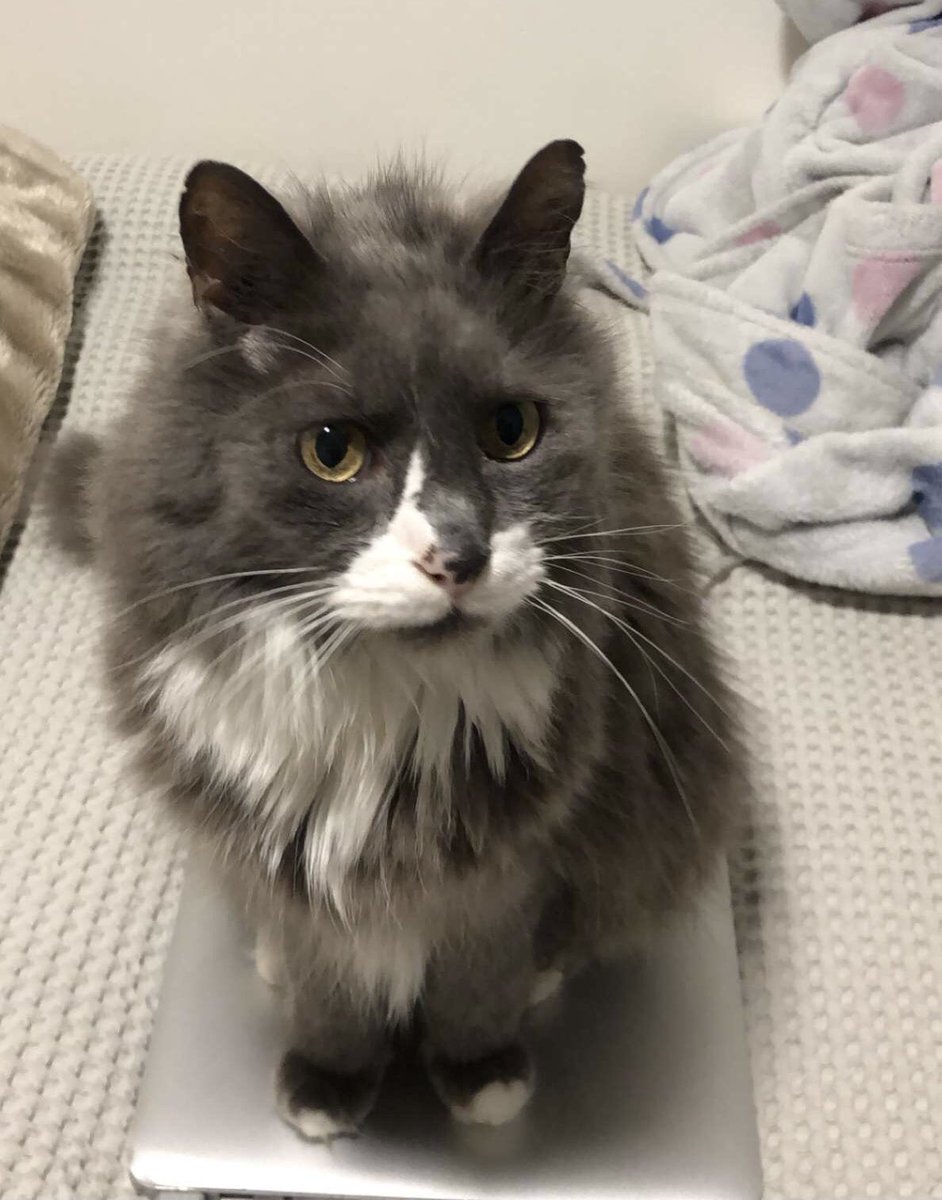 sarah 𓆩♡𓆪 tweet media