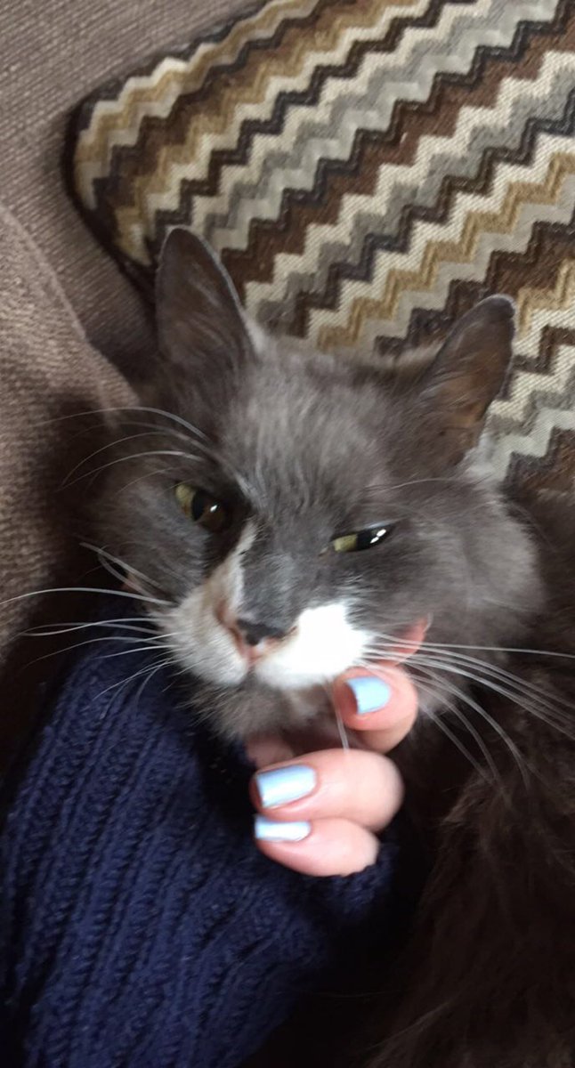 sarah 𓆩♡𓆪 tweet media