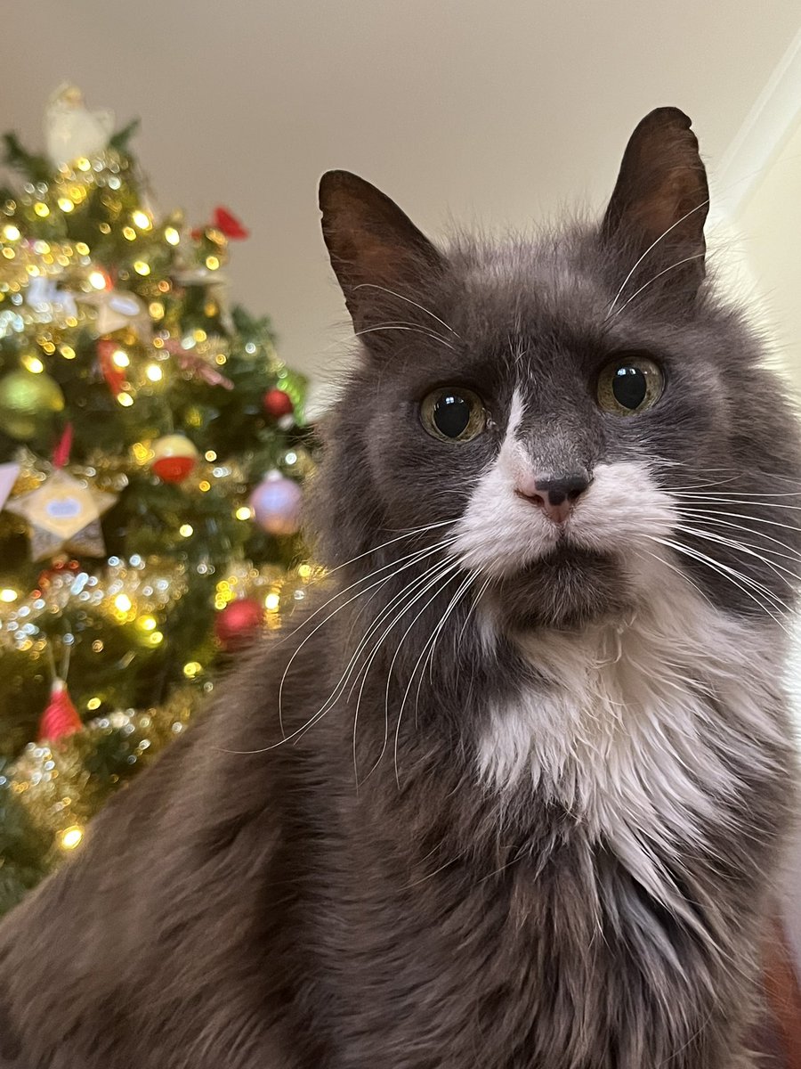 sarah 𓆩♡𓆪 tweet media