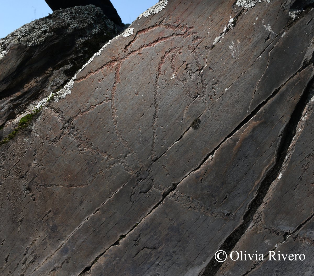 ¡Buenos días amigos!👋Arrancamos nuevo proyecto de investigación en uno de los yacimientos de arte rupestre al aire libre más importantes de la Península: ¡Siega Verde! El proyecto está dirigido por <a href="/Rivero_Vila_O/">OLIVIA RIVERO VILÁ</a> y cuenta con la participación de <a href="/jcyl/">Junta de Castilla y León</a> <a href="/siega_verde/">Siega Verde</a> <a href="/usal/">Universidad de Salamanca</a> 👏