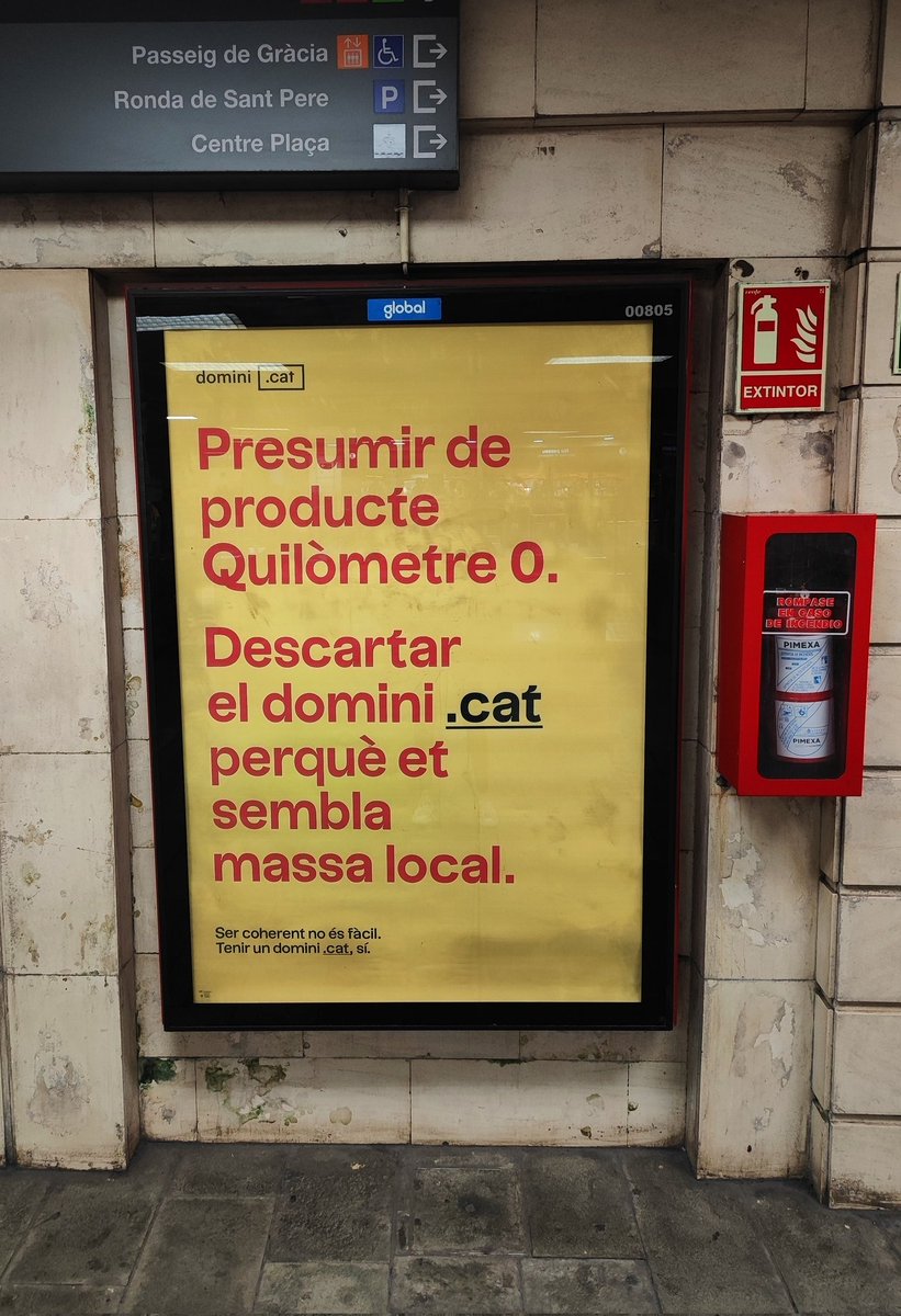MAlavedraBrossa's tweet photo. Quina il·lusió veure't 🤗 

@puntCAT https://t.co/IjzTVGhwKp