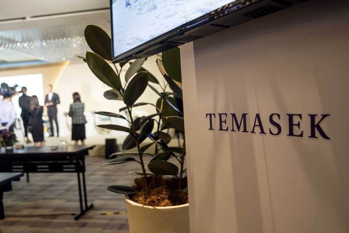 All SOEs in Singapore are run by Temasek, superholding company. Singapore's SOEs perform better than private firms and hire world class talent. This model may be opposed by politicians in SL, as subject ministers won't be able to appoint their friends to its boards.