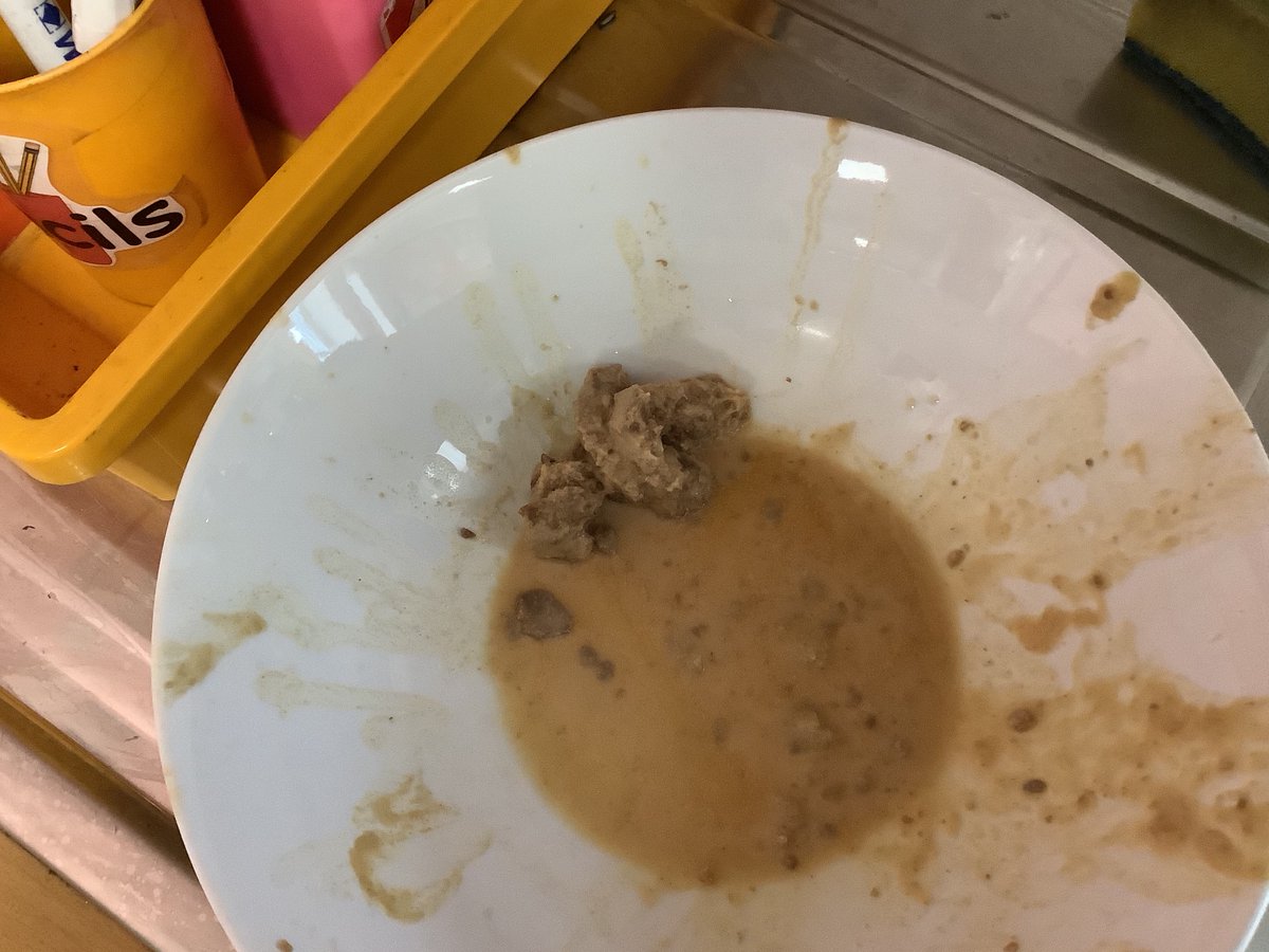 Cpsmrsw's tweet image. Yay! I get all of the best jobs!🤣P6J  spoke  about  the  digestive  system today. It  was  a  lot  of  fun!  🤢🤮 💩😂@gsc1 #GSCLearningLab @carronshoreps