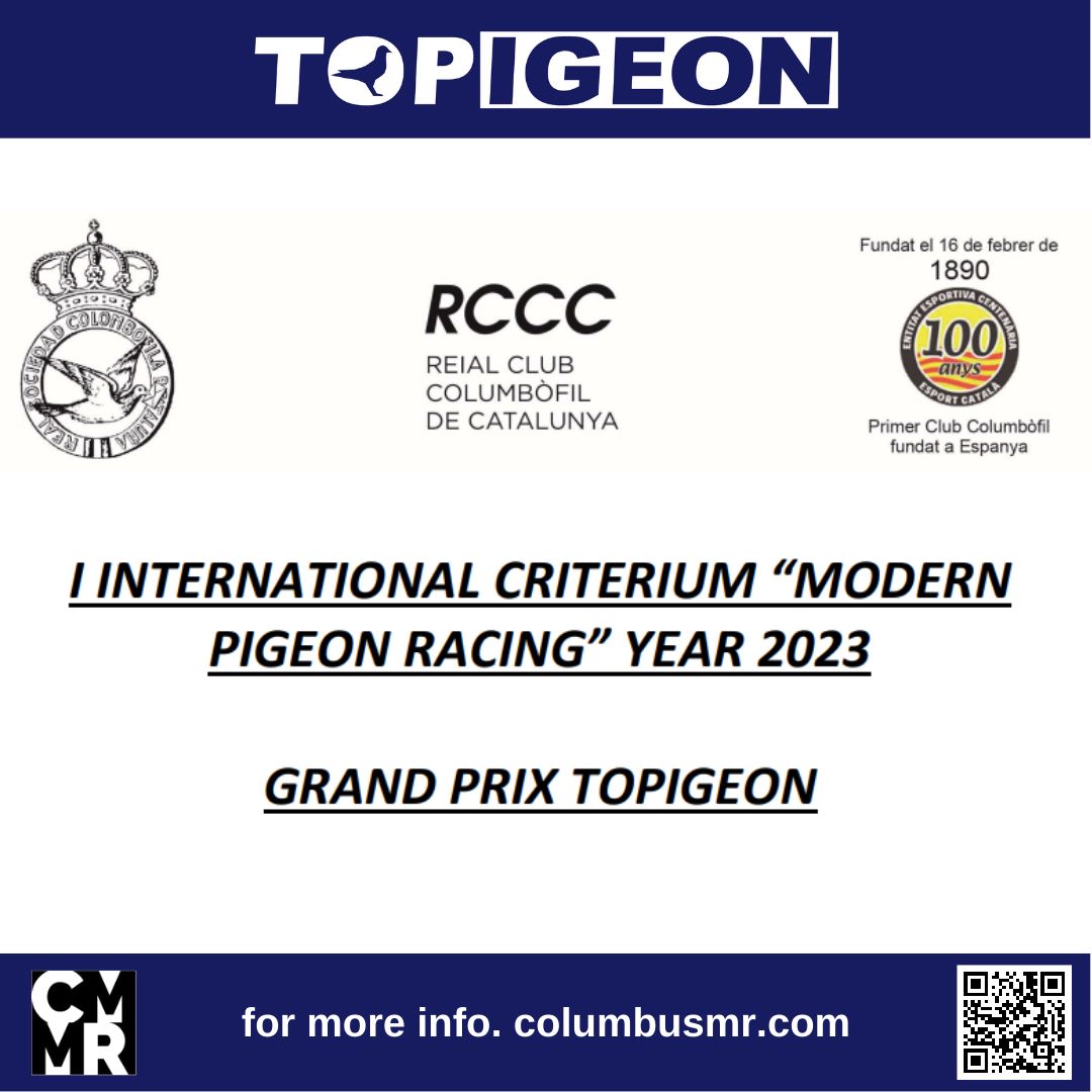 TOPIGEON1's tweet photo. You may not have heard of the oldest pigeon racing club in Spain is located in Barcelona! 
The club president has invited #TOPIGEON to participate in his new international racing event, and we are delighted to support this innovative and fun sporting event. https://t.co/sYMUeSavTs